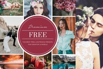 10 Premium Free Lightroom Presets Desktops & Mobile Preview