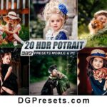 20 HDR Presets for Lightroom Mobile & Desktop Free Preview