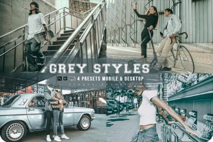 4 Gray Styles Lightroom Presets for Mobile & Desktop Free Preview