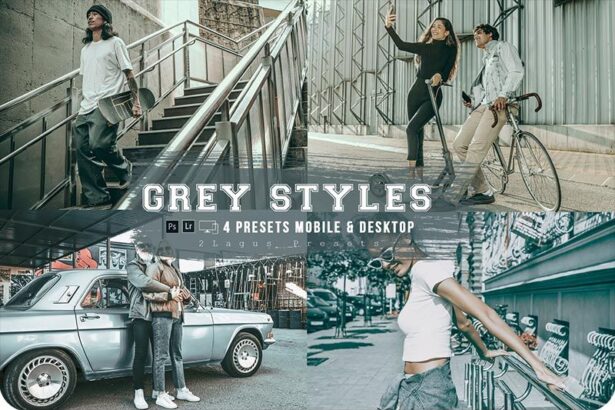 4 Gray Styles Lightroom Presets for Mobile & Desktop Free Preview