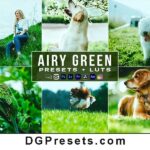 Airy Green LUTs and Lightroom Presets Free Download Preview