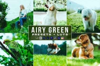 Airy Green LUTs and Lightroom Presets Free Download Preview