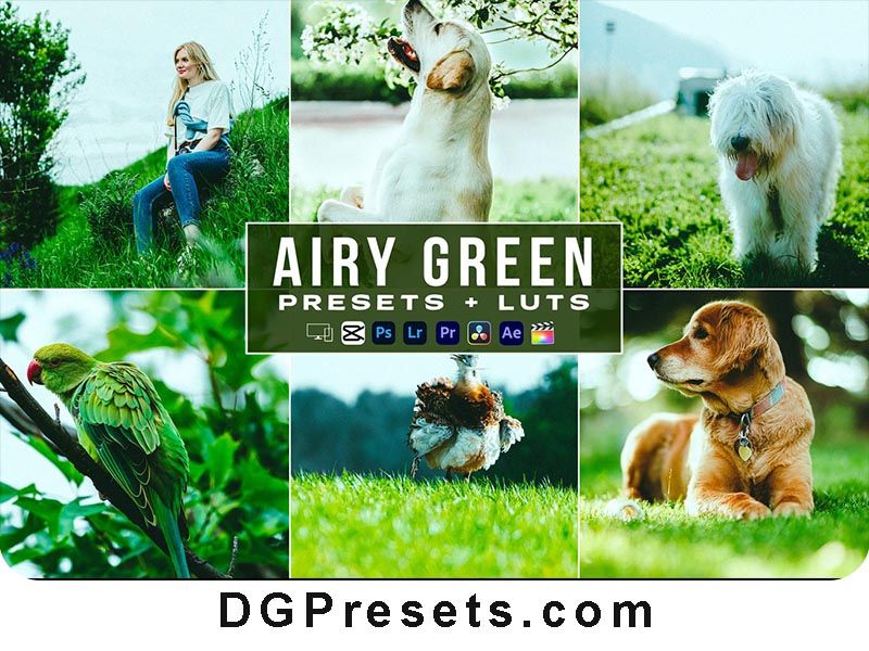 Airy Green LUTs and Lightroom Presets Free Download Preview