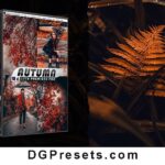 Autumn Fall Presets & LUTs for Video & Photo Editing Free Preview