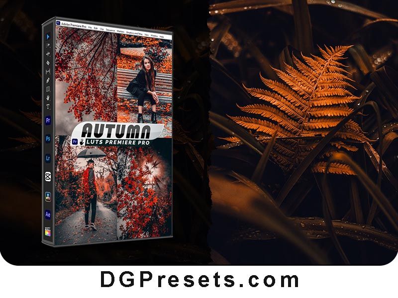 Autumn Fall Presets & LUTs for Video & Photo Editing Free Preview