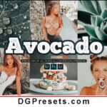 Avocado Green Photoshops Actions Lightroom Preset Free Preview