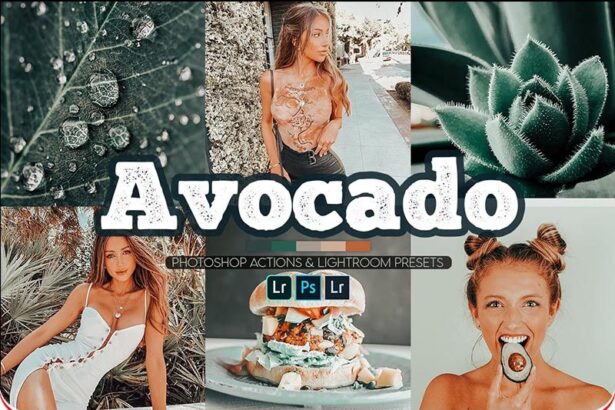 Avocado Green Photoshops Actions Lightroom Preset Free Preview