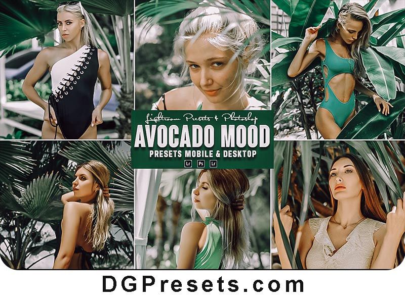 Avocado Photoshop Action and Lightroom Presets Free Download Preview