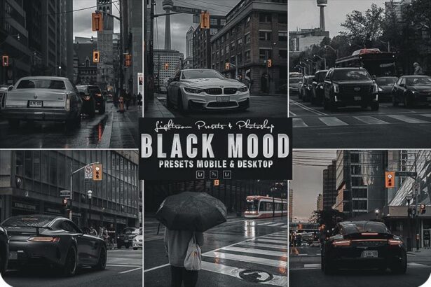 Black Mood Photoshop Action and Lightroom Presets Free Download Preview