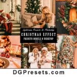 Christmas Photoshop Action and Lightroom Presets Free Preview