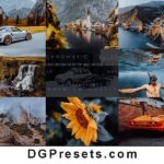 Chromatic Bliss Free Lightroom Presets Preview