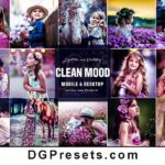 Clean Mood Free Lightroom & Photoshops Presets Preview