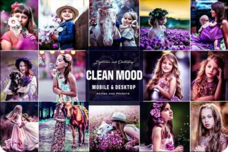 Clean Mood Free Lightroom & Photoshops Presets Preview