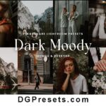 Dark Moody Lightroom Presets Free Preview