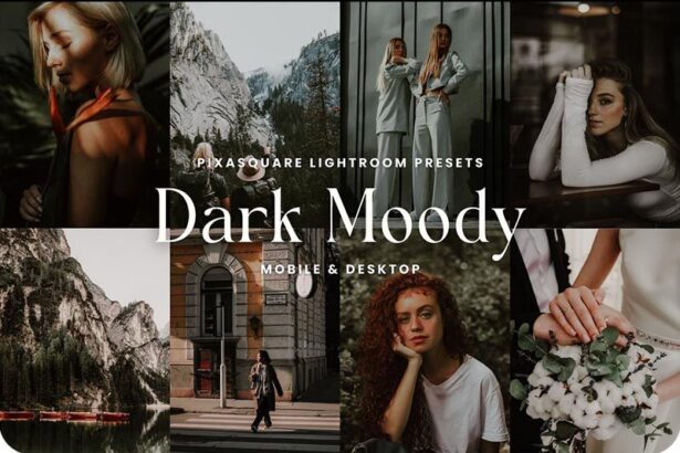 Dark Moody Lightroom Presets Free Preview