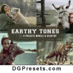 Earthy Tones Lightroom Preset Free Download Preview