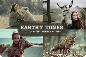 Earthy Tones Lightroom Preset Free Download Preview