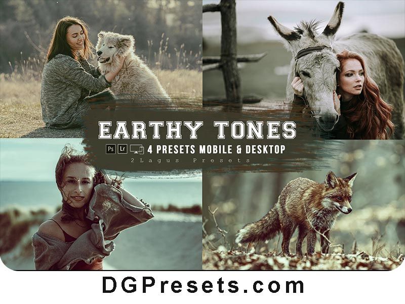 Earthy Tones Lightroom Preset Free Download Preview