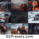 Elite Free Lightroom Presets for Instagram Portfolio Preview