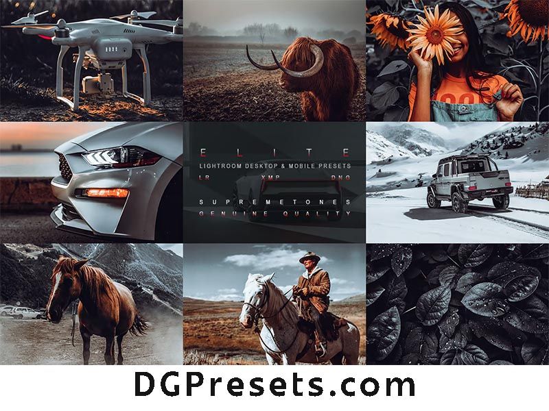 Elite Free Lightroom Presets for Instagram Portfolio Preview