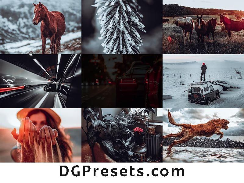 Elite Free Lightroom Presets for Instagram Portfolio Preview1