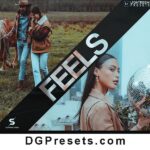 FEELS Lightroom Presets Free Preview