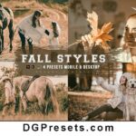 Fall Styles 4 Lightroom Presets Free Download Preview