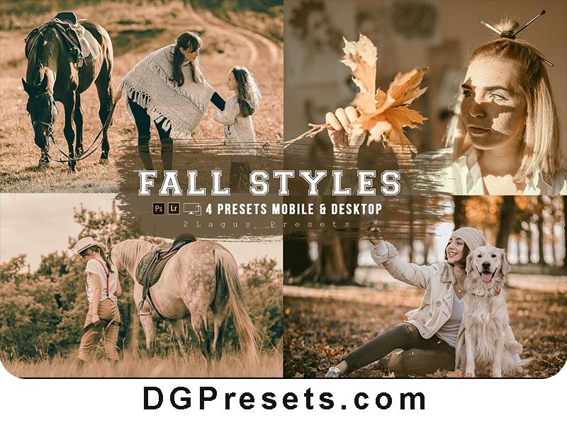 Fall Styles 4 Lightroom Presets Free Download Preview