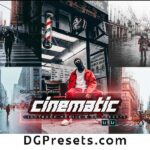 Free Cineamtic Lightroom Presets Photography Preview