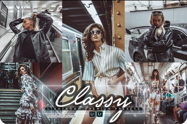 Free Classy Lightroom Presets for Mobile & PC Preview