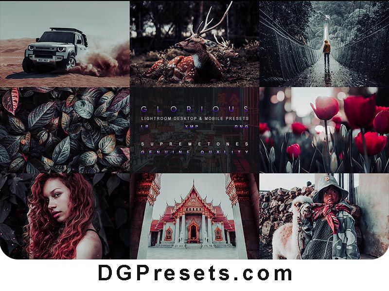 Glorious Lightroom Presets Free Preview