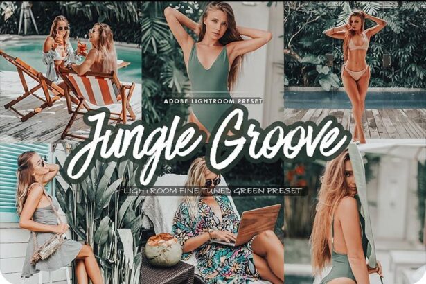 Jungle Groove Lightroom Preset Free Preview