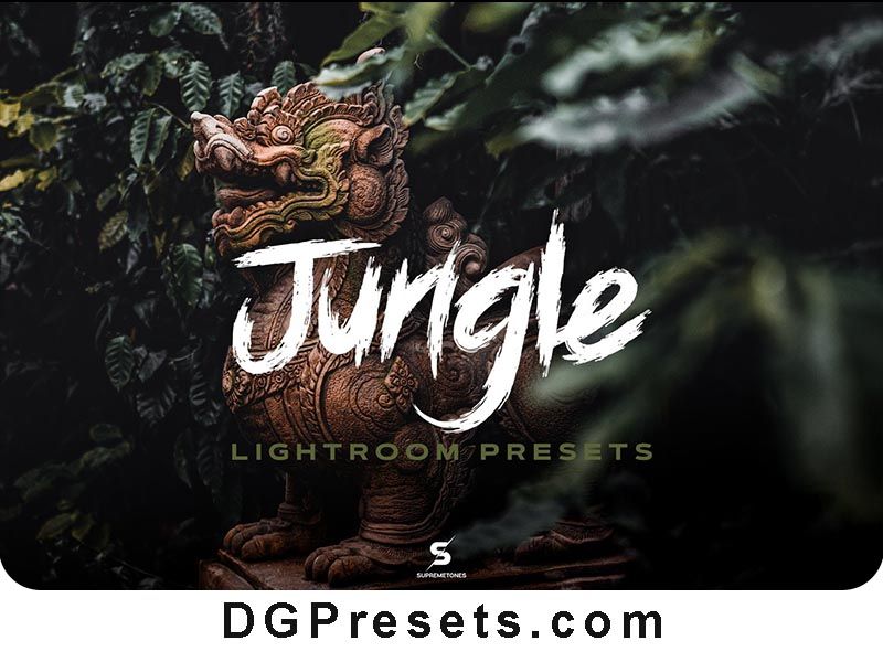 Jungle Lightroom Presets Free Cinematic Green Forest Tones Preview