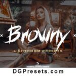 Lifestyle Gray Brown Lightroom Presets Free Preview