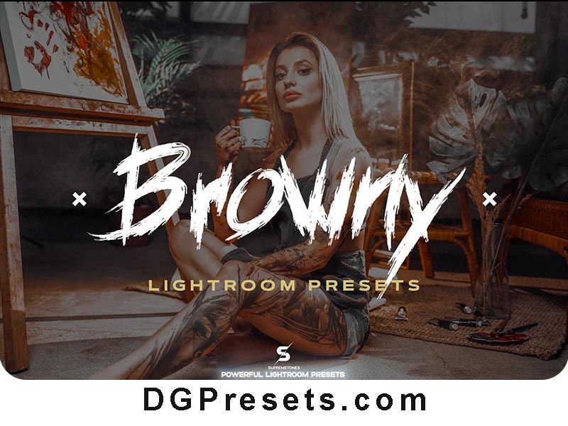 Lifestyle Gray Brown Lightroom Presets Free Preview