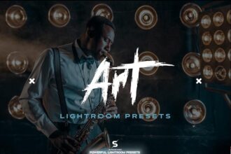 Lightroom Artistic Preset Free Preview