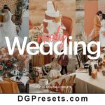 Lightroom Preset Wedding Moody Free Download Preview