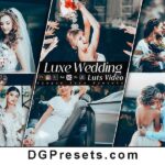 Luxe Wedding Lightroom Presets & Premiere Pro LUTs Free Preview