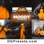 Moody Gold Effect Free Lightroom Preset for Photography Preview