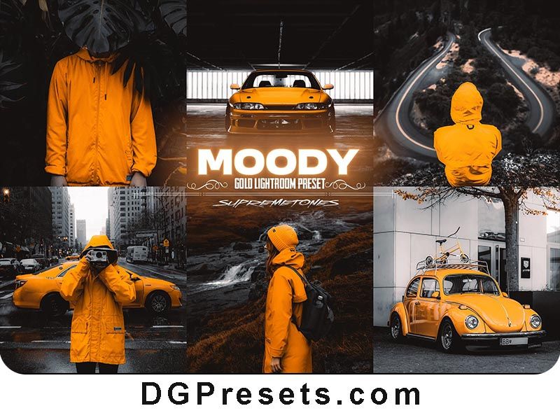 Moody Gold Effect Free Lightroom Preset for Photography Preview