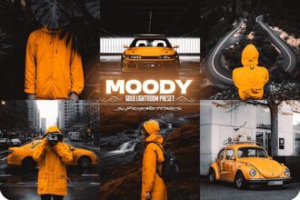 Moody Gold Lightroom Preset Free Preview