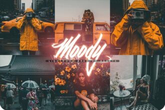 Moody Lightroom Presets Free Preview