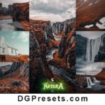 Natura Lightroom Presets Free Preview