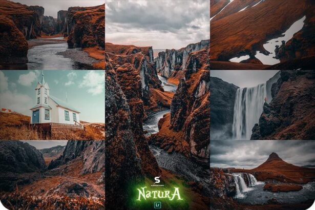 Natura Lightroom Presets Free Preview