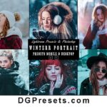 Winter Portrait Presets for Mobile and Desktop Free Download Preview