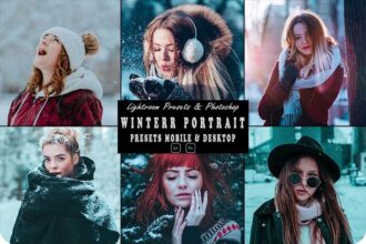 Winter Portrait Presets for Mobile and Desktop Free Download Preview