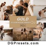 10 Golden Brown Lightroom Presets Free Download Preview