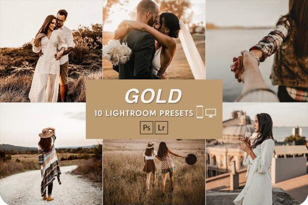 10 Golden Brown Lightroom Presets Free Download Preview