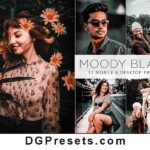 12 Moody Black Lightroom Presets Free Download Preview