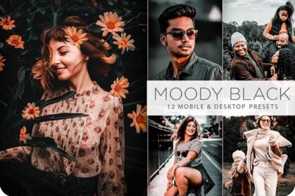 12 Moody Black Lightroom Presets Free Download Preview